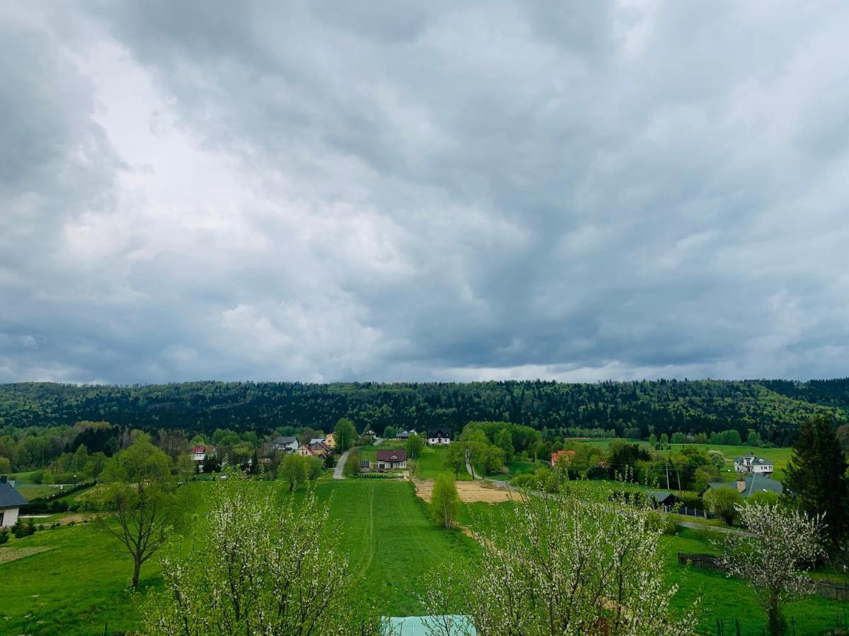 Apartamenty Rownia 2 Ustrzyki Dolne Exterior foto